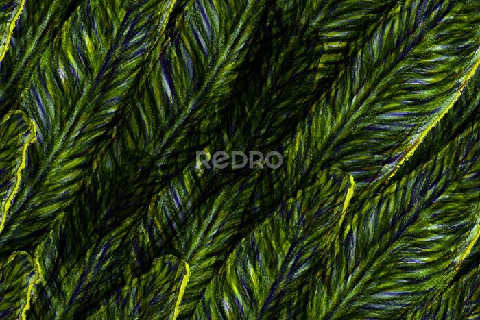 Papier peint  Bird of Paradise Seamless Pattern for Swimwear. Teal Green Strelitzia Feminine Exotic Design.  Bird-of-Paradise Spring-Summer Tile Tropical Leaf Background. Large Polynesia Floral Print.