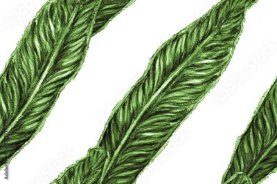 Papier peint  Bird of Paradise Seamless Pattern for Swimwear. Teal Green Strelitzia Feminine Exotic Design.  Tropical Leaf Background. Large Polynesia Floral Print. Bird-of-Paradise Spring-Summer Tile