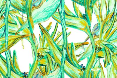 Papier peint  Bird of Paradise Seamless Pattern for Swimwear. Teal Green Tropical Leaf Background. Large Polynesia Floral Print. Strelitzia Feminine Exotic Design.  Bird-of-Paradise Spring-Summer Tile