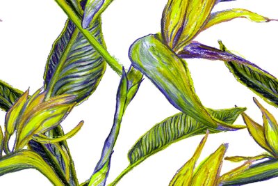 Papier peint  Bird of Paradise Seamless Pattern for Swimwear. Teal Green Tropical Leaf Background. Large Polynesia Floral Print. Strelitzia Feminine Exotic Design.  Bird-of-Paradise Spring-Summer Tile