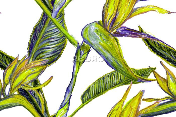 Papier peint  Bird of Paradise Seamless Pattern for Swimwear. Teal Green Tropical Leaf Background. Large Polynesia Floral Print. Strelitzia Feminine Exotic Design.  Bird-of-Paradise Spring-Summer Tile