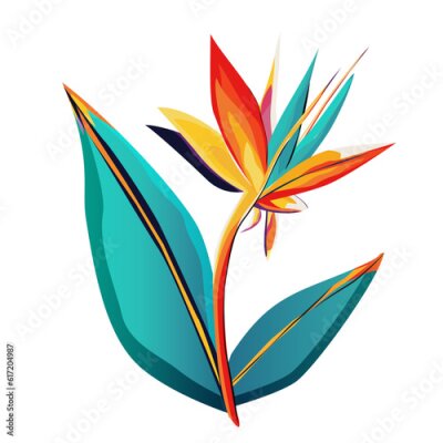 Papier peint  Bird of paradise, Strelitzia reginae, tropical flower isolated on white. Bright colorful artistic floral element strelitzia reginae orange flower with leaves