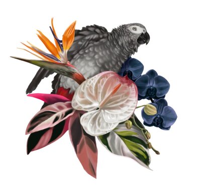 Papier peint  Bird of Paradise. Tropical bouquet. grey parrot, strelitzia, anthurium and orchids. Realistic illustration