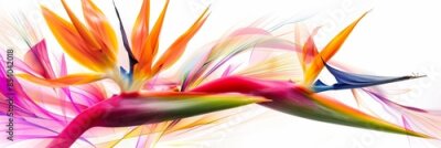 Papier peint  Bird of Paradise Tropical Flower Isolated, Strelitzia Bloom, Orange Exotic Bird Head Flower on White