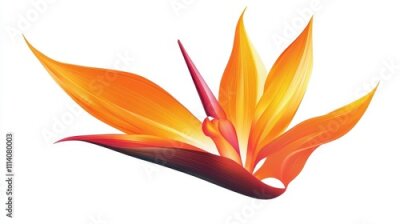 Papier peint  Bird of Paradise Tropical Flower Isolated, Strelitzia Bloom, Orange Exotic Bird Head Flower on White