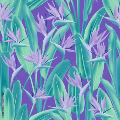 Papier peint  Bird of paradise tropical flower vector seamless pattern. Bohemian tropical plant fabric print design. South African plant tropical blossom of crane flower, strelitzia. Floral textile print.