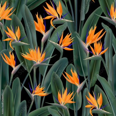 Papier peint  Bird of paradise tropical flower vector seamless pattern. Bohemian tropical plant fabric print design. South African plant tropical blossom of crane flower, strelitzia. Floral wallpaper.