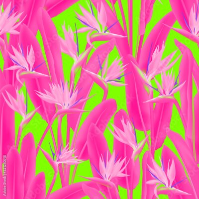 Papier peint  Bird of paradise tropical flower vector seamless pattern. Jungle exotic tropical plant fabric design. South African plant tropical blossom of crane flower, strelitzia. Floral textile print.