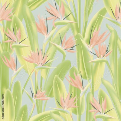 Papier peint  Bird of paradise tropical flower vector seamless pattern. Jungle exotic tropical plant fabric design. South African plant tropical blossom of crane flower, strelitzia. Floral wallpaper.