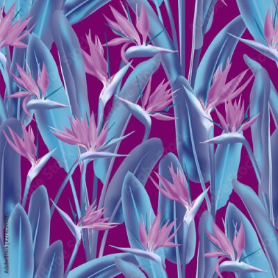 Papier peint  Bird of paradise tropical flower vector seamless pattern. Jungle exotic tropical plant fabric design. South African plant tropical blossom of crane flower, strelitzia. Floral wallpaper.