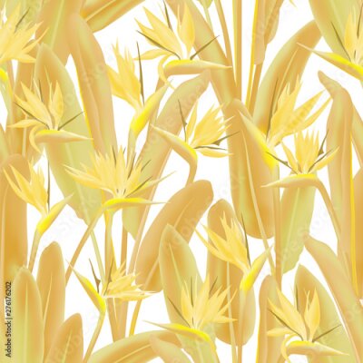 Papier peint  Bird of paradise tropical flower vector seamless pattern. Jungle exotic tropical plant fabric design. South African plant tropical blossom of crane flower, strelitzia. Floral wallpaper.