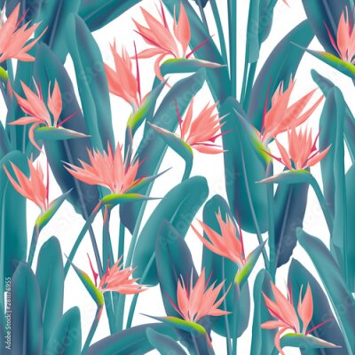 Papier peint  Bird of paradise tropical flower vector seamless pattern. Jungle plant paradise tropical summer fabric design. South African plant tropical blossom of crane flower, strelitzia. Floral textile print.