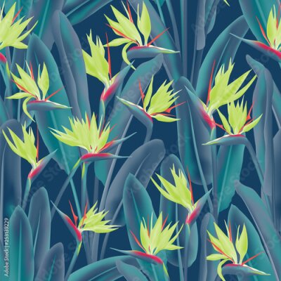 Papier peint  Bird of paradise tropical flower vector seamless pattern. Jungle plant paradise tropical summer fabric design. South African plant tropical blossom of crane flower, strelitzia. Floral wallpaper.
