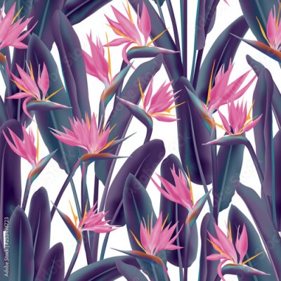 Papier peint  Bird of paradise tropical flower vector seamless pattern. Jungle plant paradise tropical summer fabric design. South African plant tropical blossom of crane flower, strelitzia. Floral wallpaper.