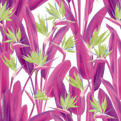 Papier peint  Bird of paradise tropical flower vector seamless pattern. Jungle plant paradise tropical summer fabric design. South African plant tropical blossom of crane flower, strelitzia. Floral wallpaper.