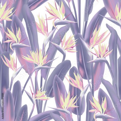 Papier peint  Bird of paradise tropical flower vector seamless pattern. Jungle plant paradise tropical summer fabric design. South African plant tropical blossom of crane flower, strelitzia. Floral wallpaper.