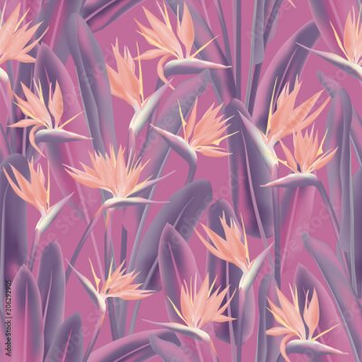 Papier peint  Bird of paradise tropical flower vector seamless pattern. Jungle plant paradise tropical summer fabric design. South African plant tropical blossom of crane flower, strelitzia. Floral wallpaper.
