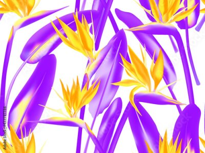 Papier peint  Bird of paradise tropical flower vector seamless pattern. Jungle plant paradise tropical summer fashion design. South African plant tropical blossom of crane flower, strelitzia. Floral textile print.