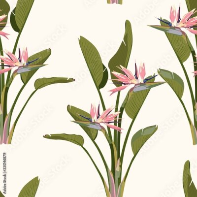 Papier peint  Bird of paradise tropical pink flower and leaves seamless pattern. Jungle exotic plant for fabric design. South African blossom flower, strelitzia. Floral wallpaper.