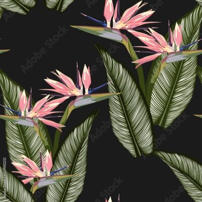 Papier peint  Bird of paradise tropical pink flower and leaves seamless pattern. Jungle exotic plant for fabric design. South African blossom flower, strelitzia. Floral wallpaper. Black backdrop.