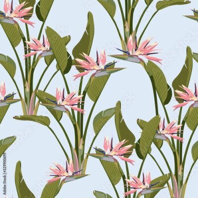 Papier peint  Bird of paradise tropical pink flower seamless pattern. Jungle exotic plant for fabric design. South African blossom flower, strelitzia. Floral wallpaper. Blue backdrop.