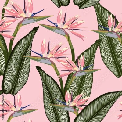 Papier peint  Bird of paradise tropical pink flower seamless pattern. Jungle exotic plant for fabric design. South African blossom flower, strelitzia. Floral wallpaper. Pink backdrop.