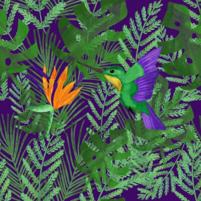 Papier peint  bird of paradise. Watercolor colibri and strelitzia on tropical leaves on violet background. Summer pattern.