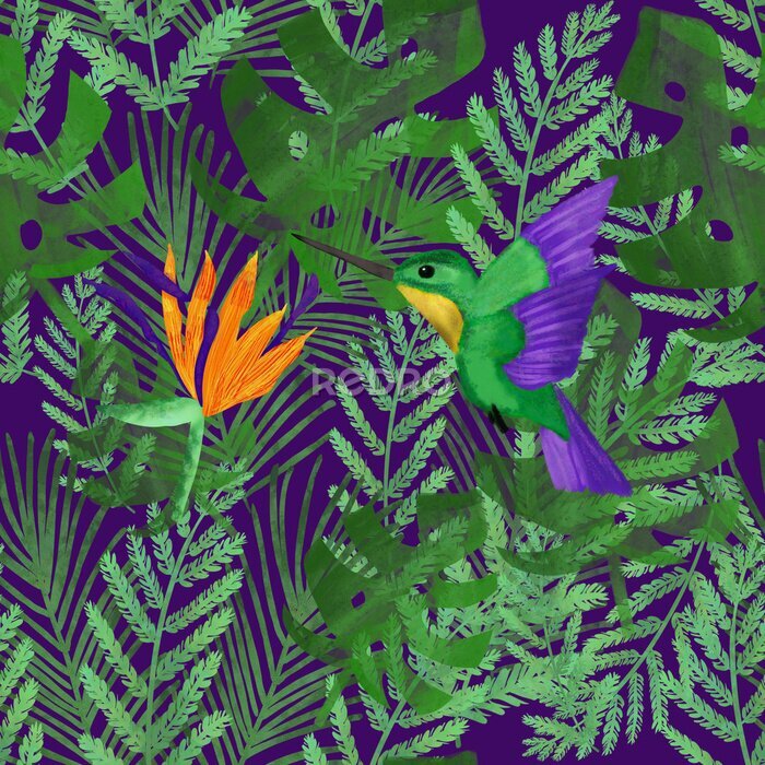 Papier peint  bird of paradise. Watercolor colibri and strelitzia on tropical leaves on violet background. Summer pattern.