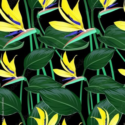 Papier peint  BLACK BACKGROUND WITH ORANGE FLOWERS AND STRELITZIA LEAVES