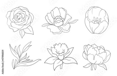 Papier peint  Black illustration grafic flowers peony, rose, tulip, strelitzia, daffodil, anemone.