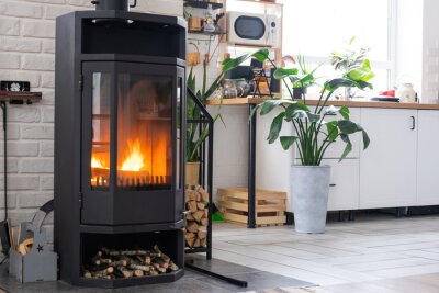 Papier peint  Black Metal Steel fireplace stove with fire and firewood near kitchen in village house. Cozy home hearth in interior with potted plants Strelitzia reginae