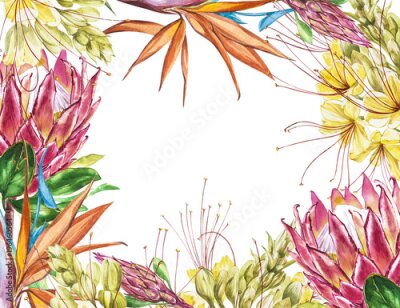 Papier peint  Blanc tropicale pour le texte. Aquarelle Protea, Caesalpinia et Strelitzia fleurs. Perfectionnez pour l'invitation, le mariage ou les cartes de voeux.