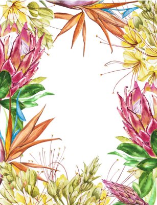 Papier peint  Blanc tropicale pour le texte. Aquarelle Protea, Caesalpinia et Strelitzia fleurs. Perfectionnez pour l'invitation, le mariage ou les cartes de voeux.