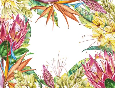 Papier peint  Blanc tropicale pour le texte. Aquarelle Protea, Caesalpinia et Strelitzia fleurs. Perfectionnez pour l'invitation, le mariage ou les cartes de voeux.