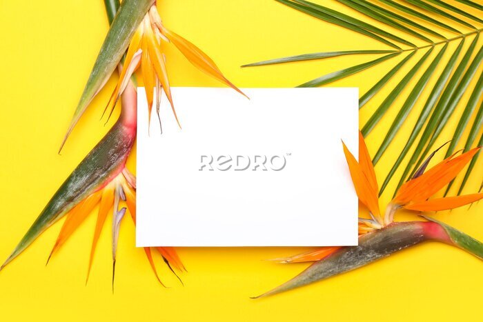 Papier peint  Blank card, palm leaf and beautiful strelitzia flowers on yellow background