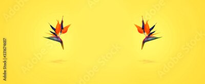 Papier peint  blossom exotic tropical flowers over yellow background, panoramic image, springtime concept
