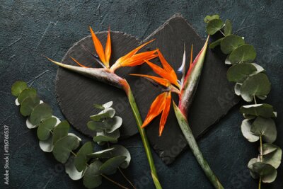 Papier peint  Boards with beautiful strelitzia flowers and eucalyptus branches on green grunge background