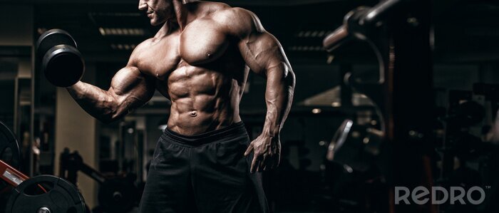 Papier peint  Bodybuilder musclé s'entraînant à la salle de sport