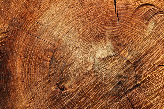 Papier peint  Bois coupé