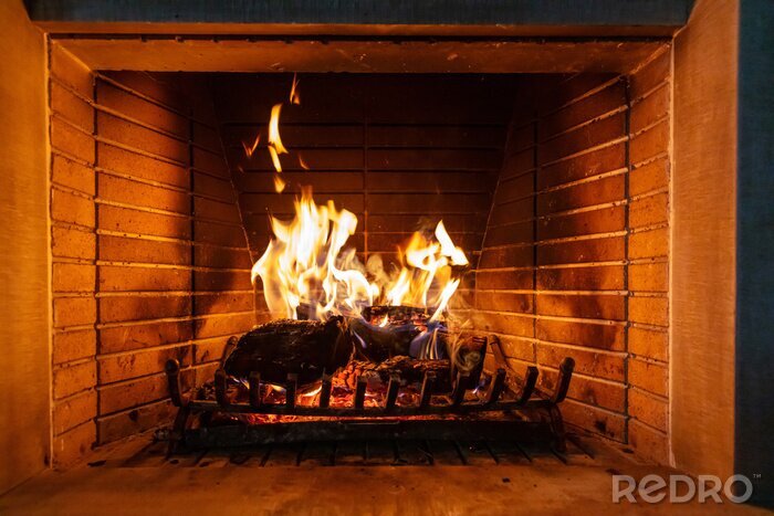 Papier peint  Bois en feu dans la cheminée imitation de foyer