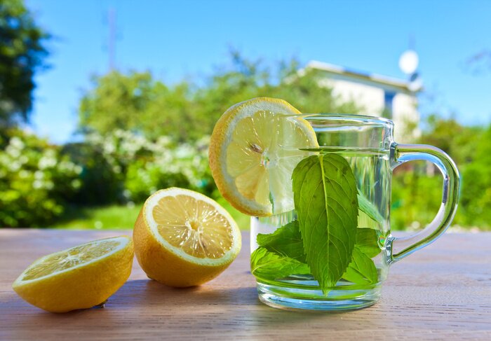 Papier peint  Boisson avec de la menthe et du citron