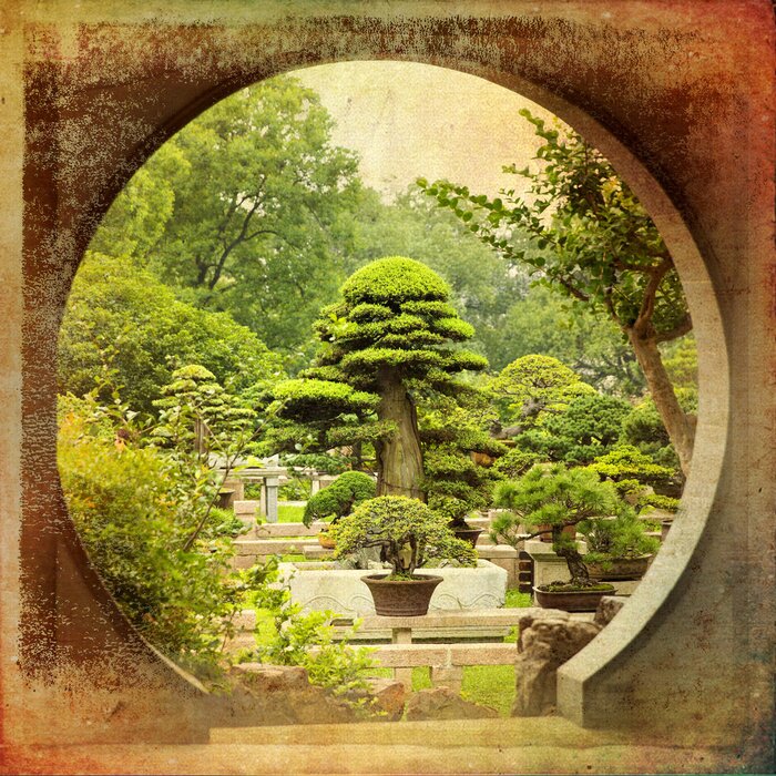 Papier peint  Bonsaïs verts