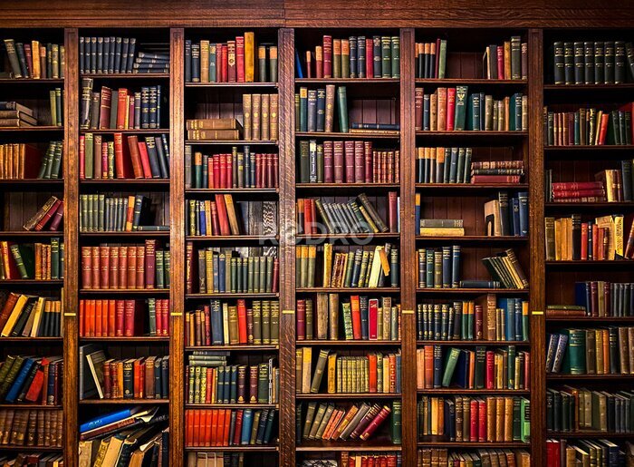 Papier peint  Books on Shelves in Library with Classic Dark Wood