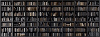Papier peint  Bookshelves in the library with old books 3d render 3d illustration