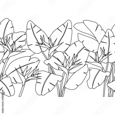 Papier peint  Border with black strelitzia flowers and leaves on a white background