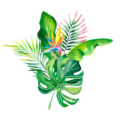 Papier peint  Botanical composition of strelitzia flowers, palm branches and monstera. Tropical plants. Watercolor illustration. Bouquet for the holiday.