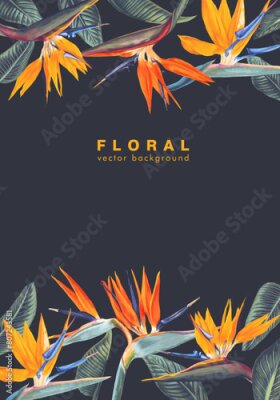 Papier peint  Botanical frame of tropical Strelitzia Reginae, tropical flowers and leaves. Vector isolated on black. Realistic hand drawn style. A South African plant called crane flower or bird of paradise.