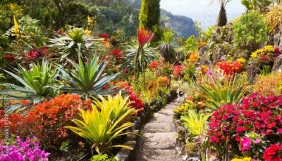 Papier peint  Botanical garden on a tropical island