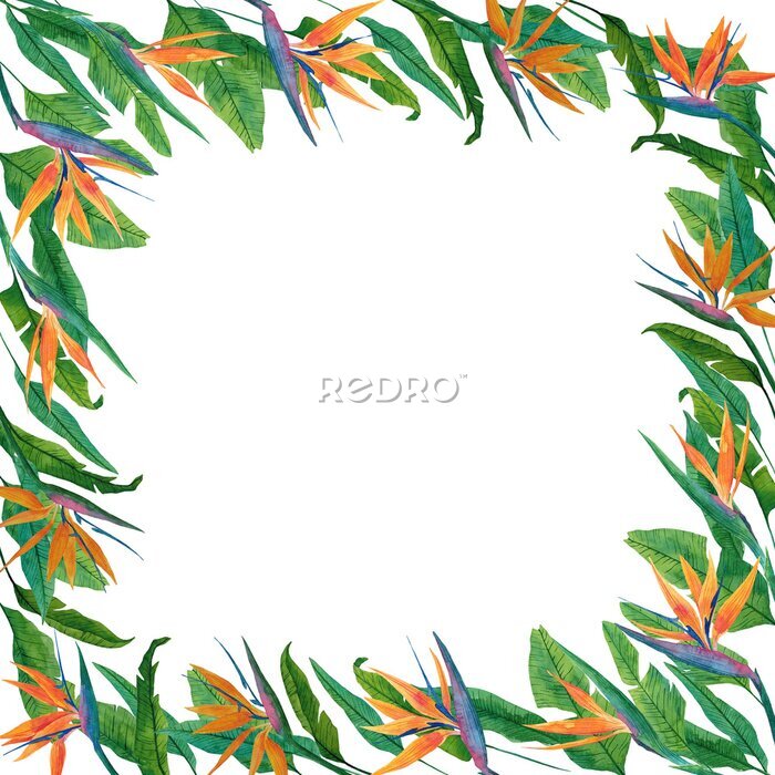 Papier peint  Botanical square frame with strelitzia leaves and flowers. Hand-drawn template use for decoration invitations and greeting postcards, for design florist shop, posters.