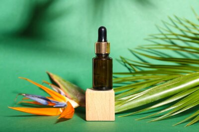 Papier peint  Bottle of essential oil, strelitzia flower and palm leaf on green background